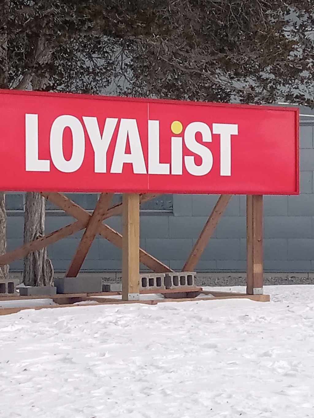 Please don’t enroll to Loyalist College in 2024